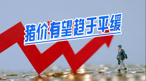 养猪不卷规模 卷成本，下半年猪价有望趋于平缓！