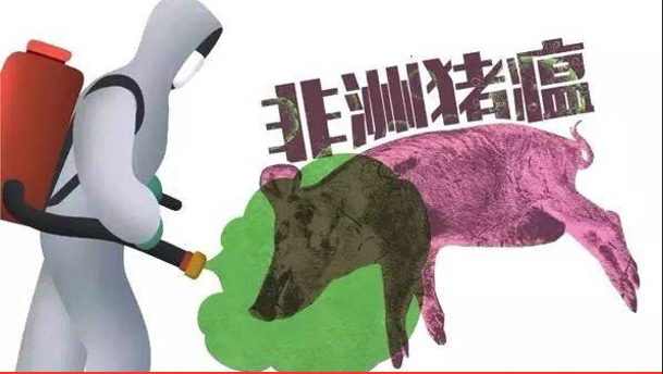 广西发生1起非洲猪瘟疫情，发病215头，死亡209头！