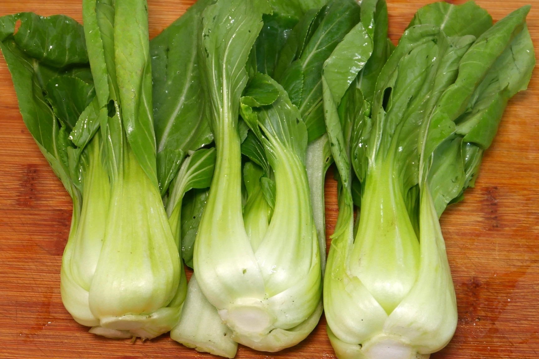 我国高纬度特短生育期油菜育种获重大突破