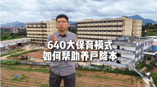 80日龄80斤 每头节省30元！双胞胎教保一体技术 · 640大保育！