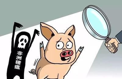 越南34省全爆发非瘟！对我国养猪业安全构成直接威胁！