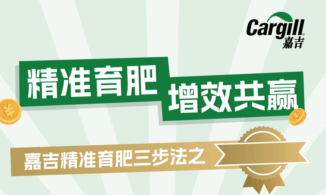 养殖人必看！嘉吉精准育肥三步法第二弹：精准营养如何让成本降、营养更到位？