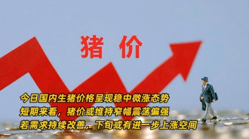 08月20日猪价：多地行情小幅回温！