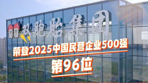 双胞胎集团荣登2025中国民营企业500强第96位 较去年提升15位！