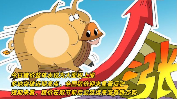09月02日猪价：多地涨幅扩大！