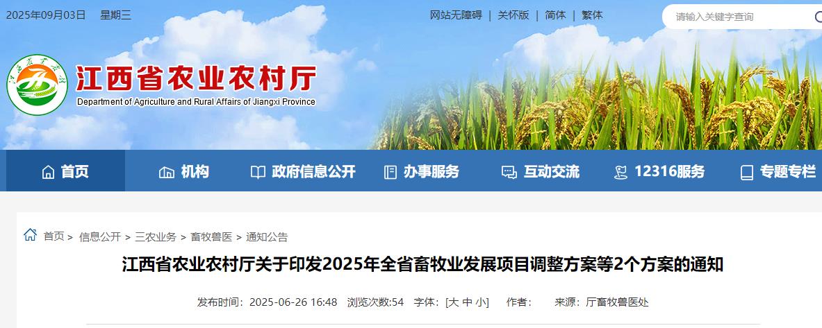 中国养猪网