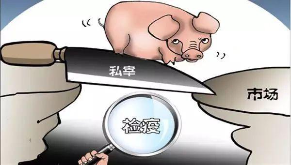 私屠私卖生猪制品，判刑7个月并处罚金12000元！