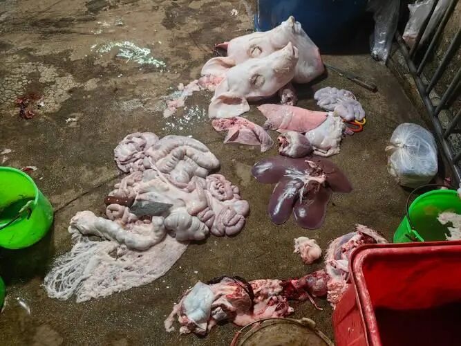 支口锅、摆把刀，就能把生猪变成现钱？私设生猪屠宰场，难逃非法经营罪