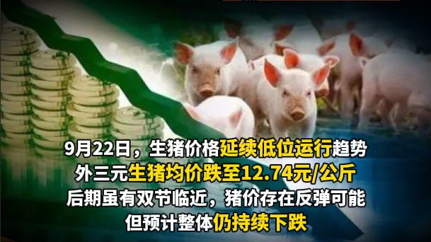 09月22日猪价：陷入“低谷”！