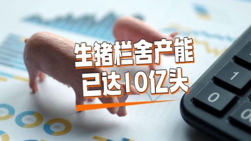 生猪栏舍产能已达10亿头！