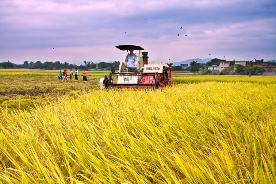 第七届全国农药标准化技术委员会在京成立