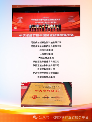 中国养猪网