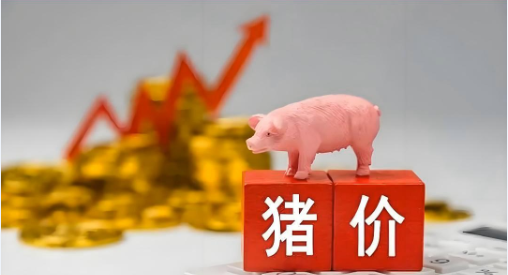 10月16日猪价：两连涨！