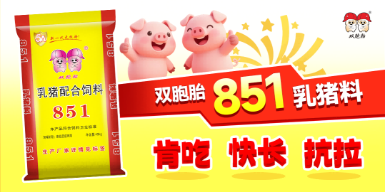 中国养猪网