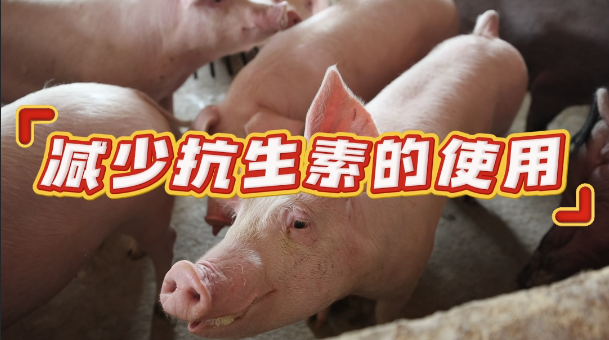 无抗养殖！守护动物健康 保障食品安全！