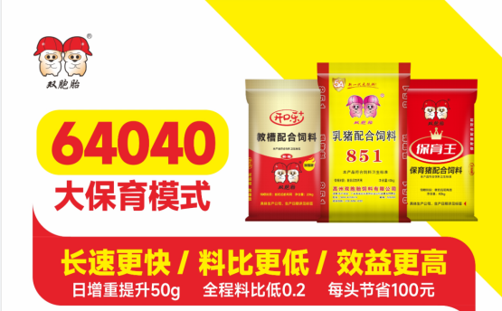 养猪省心更省钱！双胞胎64040模式——猪价寒冬下的降本增效黄金法则