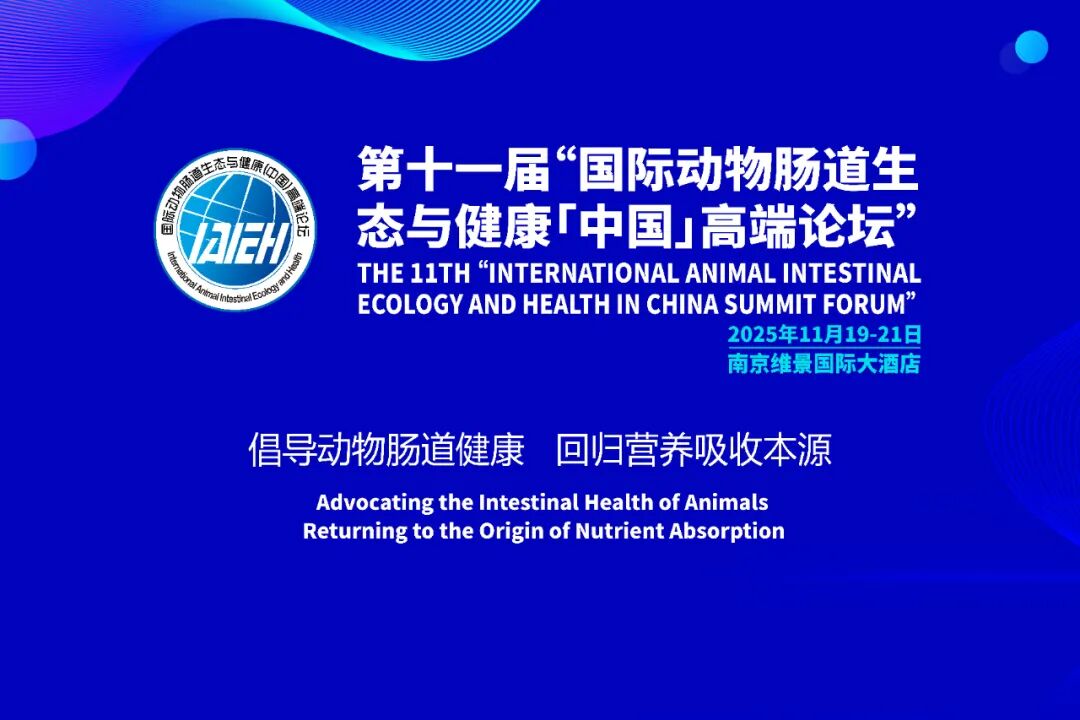 论坛主题报告（3）：动物肠道健康系列解决方案研究与探讨