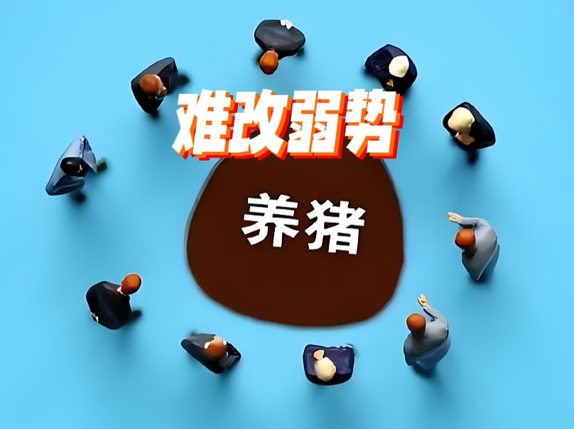 11月05日猪价:利好不足!跌猛了!