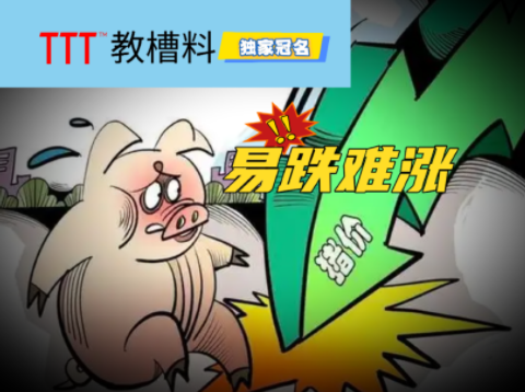 猪价呈现普遍下跌态势,仔猪价格击穿21个月新低!