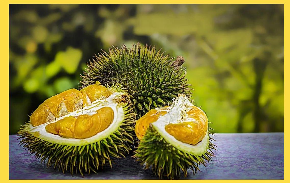 “一颗榴莲的旅程，更是一条连接希望的路”——菲律宾榴莲对华出口为当地果农带来新生机