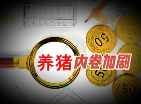 牧原股份砍30万+能繁母猪存栏!肥猪出栏体重较高点 下降10公斤!