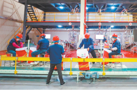 张掖市玉米制种全产业链产值达110.2亿元