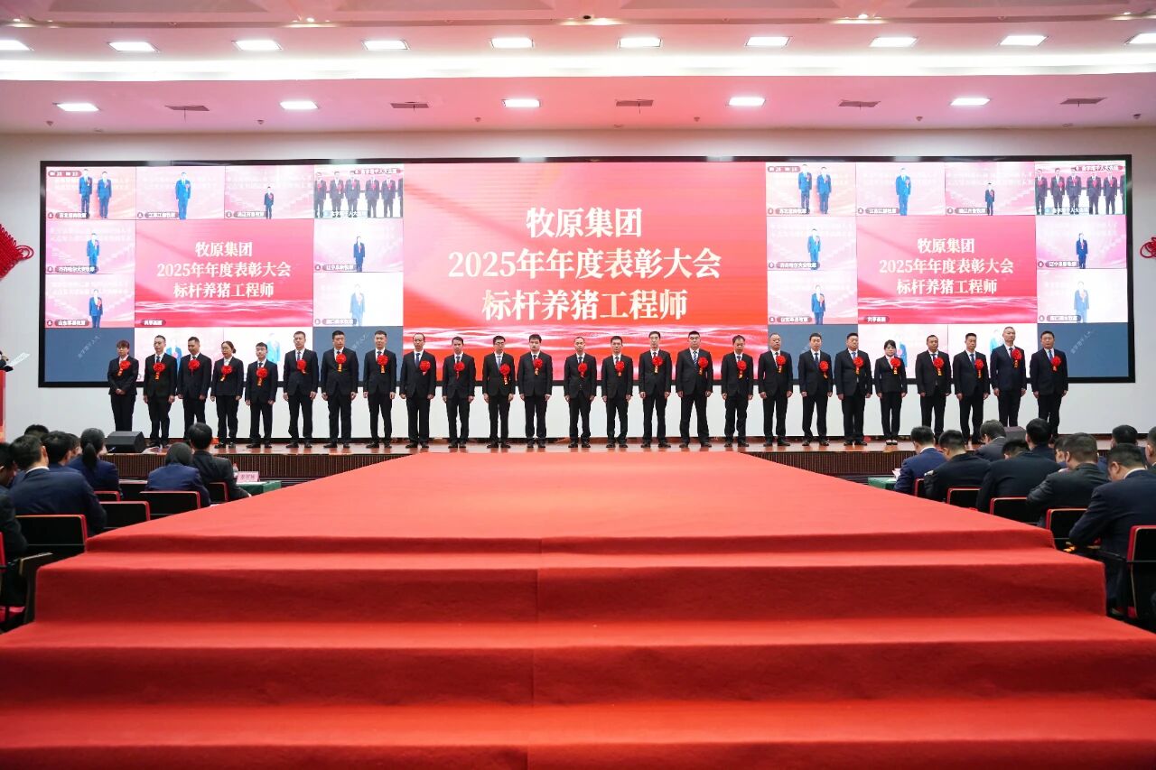 主角 | 标杆养猪工程师：星光不负赶路人  用心养猪用爱持家