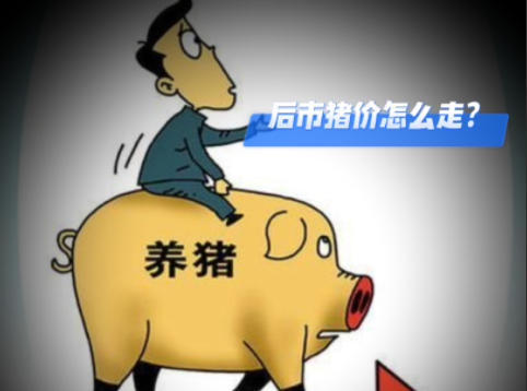 12月10日猪价：横盘震荡，看涨情绪转浓！