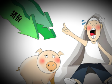 对原产于欧盟的进口猪肉及猪副产品！实施最终反倾销措施！