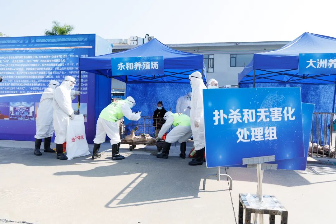 肇庆封开成功举办重大动物疫情应急演练