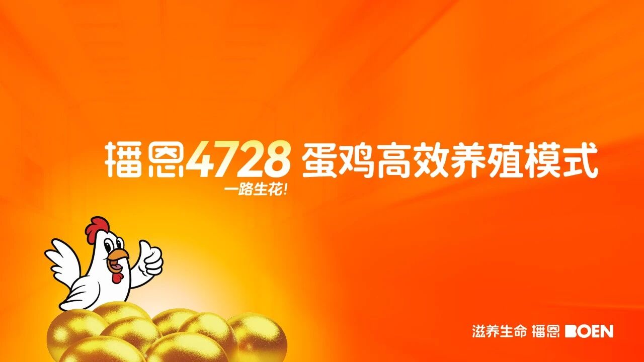 经销商王洪彬：播恩如源头活水，让市场焕发新生