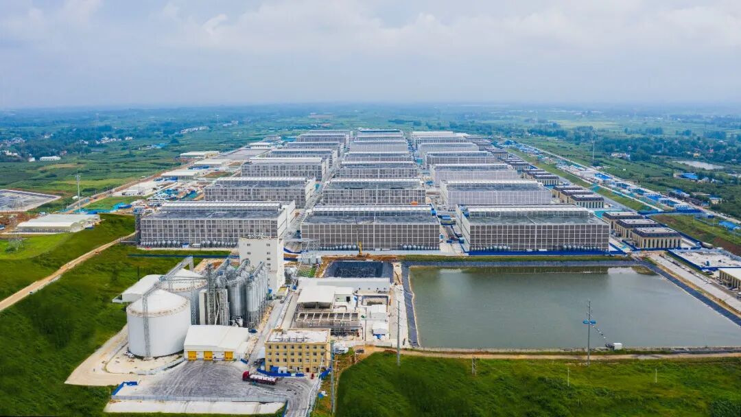 中国环境报 | “清新中国”采访调研行 牧原创新打造“会呼吸”的绿色养猪场