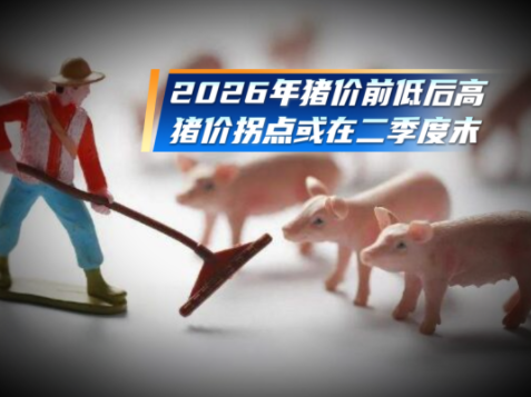 预计2026年猪价拐点在第二季度末！全年猪价或前低后高！