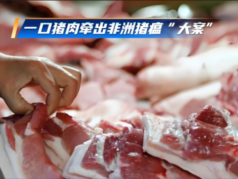 男子超市购买的猪肉检出非洲猪瘟病毒！
