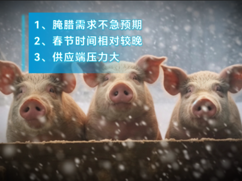 猪肉价格比去年同期每斤便宜3~4元，销量却下滑！为何？