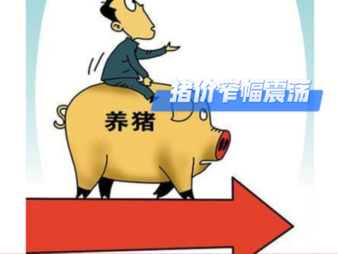 01月07日猪价：震荡趋稳！