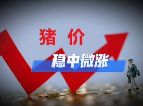 01月08日猪价：小幅升温！