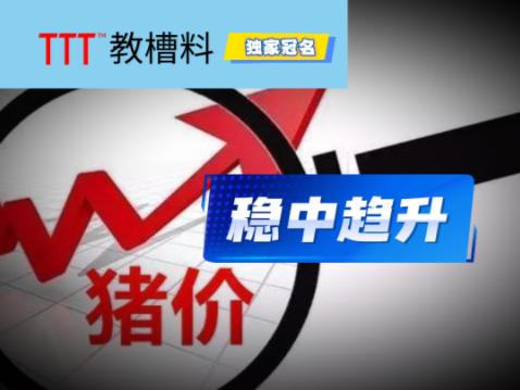 春节前猪价预计稳中趋升！