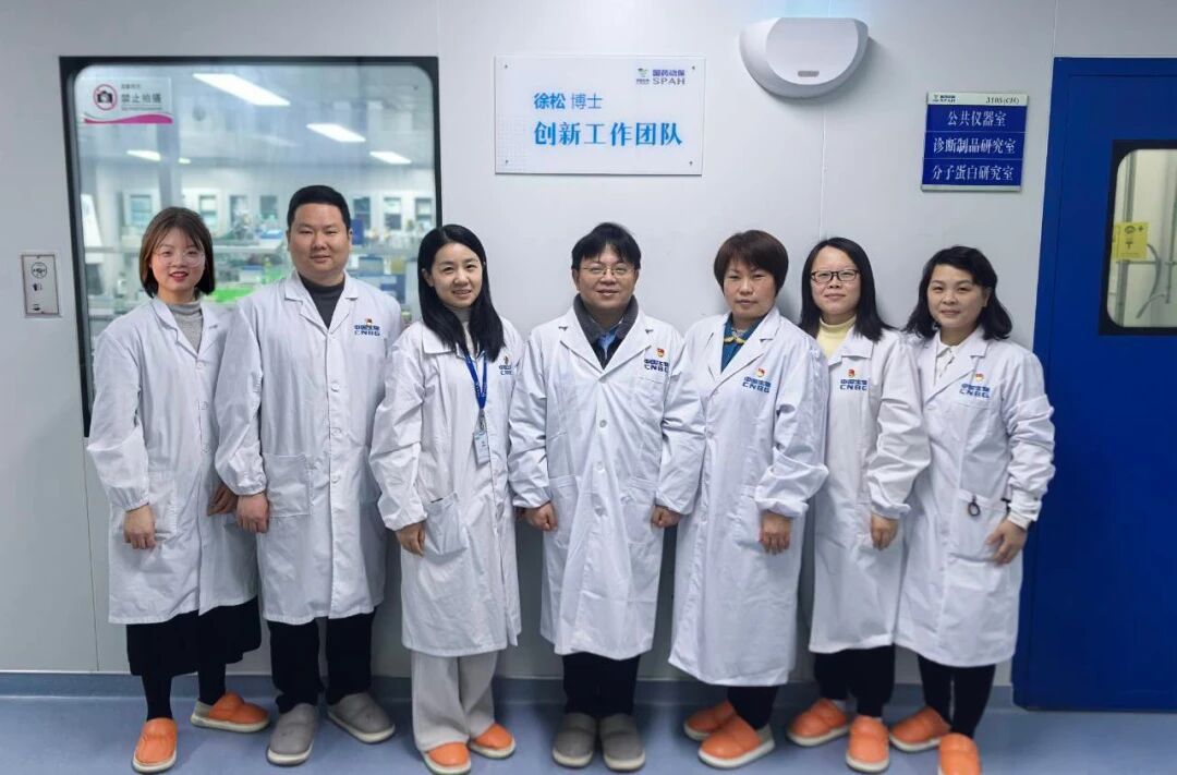 智创领航 | 聚焦圆环病毒疫苗研发 引领兽用生物制品创新