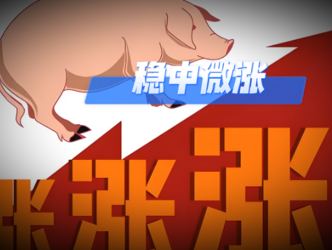 01月12日猪价：12.72元/公斤！底部支撑转强！