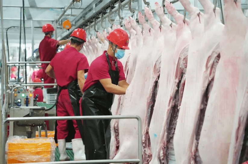 告别传统加工！龙大美食牵头重大项目，推动山东肉类产业向“智”而行