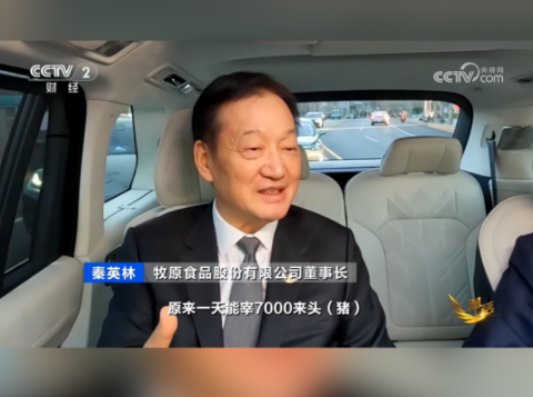 年味浓！牧原屠宰量翻倍！全力保新年猪肉供应！