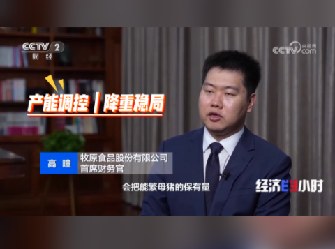 中小散户卖猪止损！规模猪企--产能调控、降重稳局！