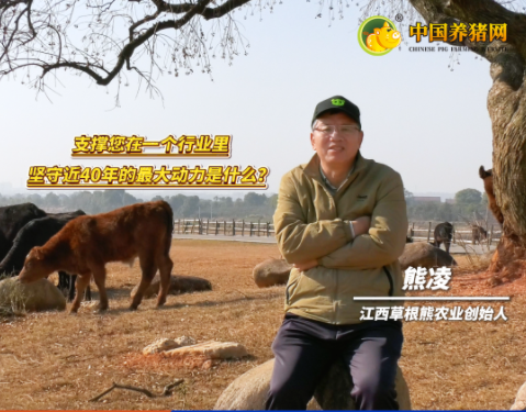 专访草根熊创始人熊凌——深耕畜牧业近40年的最大动力！