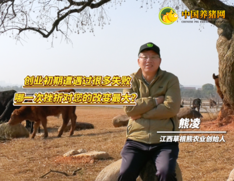 专访草根熊创始人熊凌——“良师益友相伴，困境迎刃而解”！