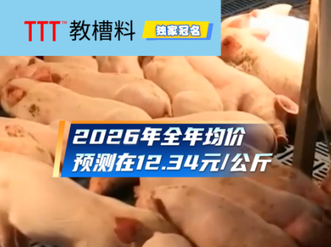 2025猪肉产量创历史新高，达5938万吨！2026年行情或先抑后扬！预测全年均价在12.34元/公斤！