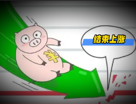 01月22日猪价：多地下跌！涨到头了？