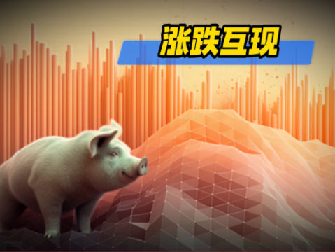 01月23日猪价:跌幅收窄!