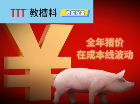 春节前猪价短期反弹难持续!2026年7、8月份或跌至11元/公斤!