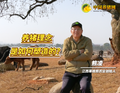 专访草根熊创始人熊凌——养猪不盲从“洋技术”,要“接地气”!